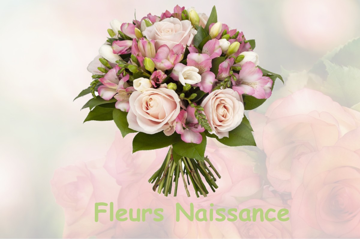 fleurs naissance ARSAC-EN-VELAY